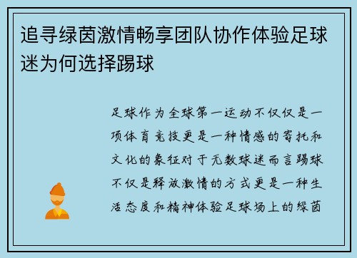 追寻绿茵激情畅享团队协作体验足球迷为何选择踢球
