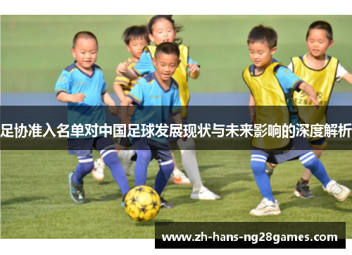 足协准入名单对中国足球发展现状与未来影响的深度解析