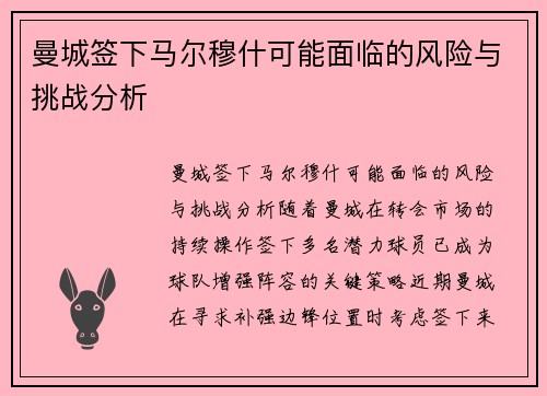 曼城签下马尔穆什可能面临的风险与挑战分析